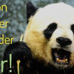 Google Panda Refresh 4.2 – Infos zum aktuellen Google-Refresh